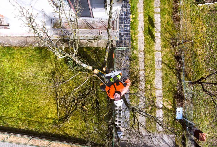 Boomverzorger kapt boom van boven naar beneden